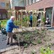 Een bewoner geeft de plantjes in de nieuwe moestuin van Huize de Compagnie in Ede water met de tuinslang.